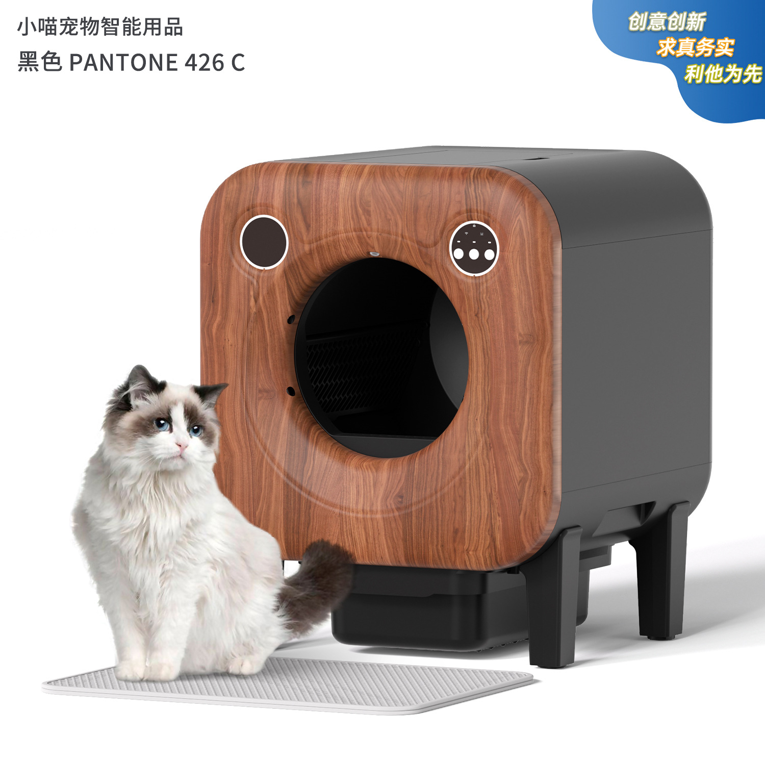 Smart Cat Box-The Lastest！